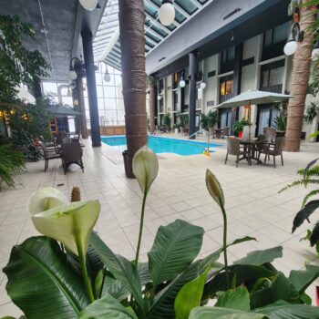 Piscine de l'hôtel La Saguenéenne avec atrium lumineux et plantes tropicales luxuriantes – un cadre unique pour la détente.