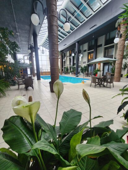 Piscine de l'hôtel La Saguenéenne avec atrium lumineux et plantes tropicales luxuriantes – un cadre unique pour la détente.