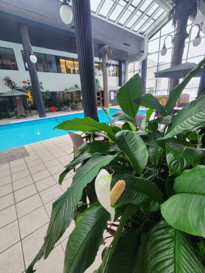 Heated indoor swimming pool at the hotel in Saguenay, perfect for relaxation and family fun.