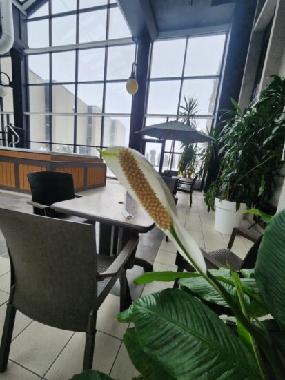 Heated indoor swimming pool at Hôtel La Saguenéenne, perfect for relaxation and family fun