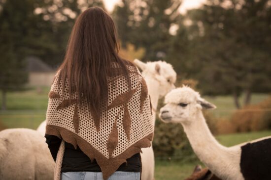 Découvrez l’expérience unique d’Alpaga Bersi Saguenay : une ferme urbaine où douceur, nature et aventure se rencontrent. Profitez d’une interaction magique avec des alpagas huacayas et explorez un sentier enchanteur au cœur du Saguenay.