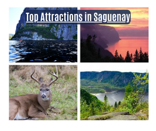 Top attractions in Saguenay, from breathtaking fjords to rich wildlife encounters.