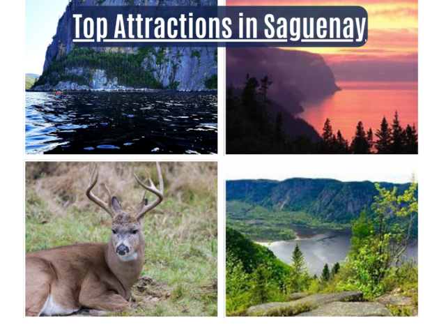 Top attractions in Saguenay, from breathtaking fjords to rich wildlife encounters.